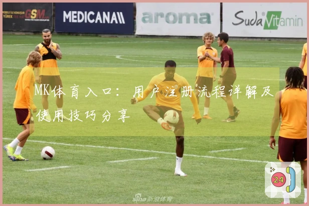 MK体育入口：用户注册流程详解及使用技巧分享