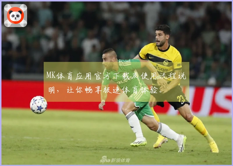 MK体育应用官方下载及使用流程说明，让你畅享极速体育体验。