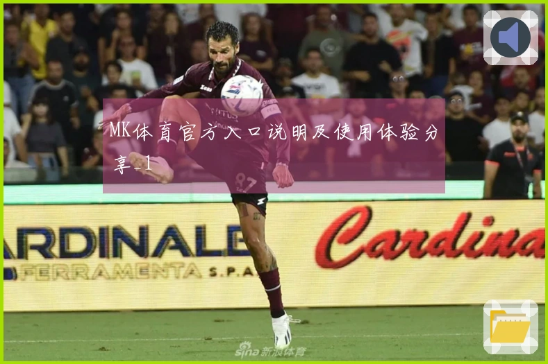 MK体育官方入口说明及使用体验分享_1